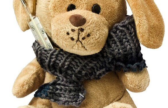 Closing the Gap: Strategies for Increasing Racial Diversity in Clinical Trials