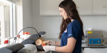 The Path to Equality: How Companies are Bridging the Diversity Gap