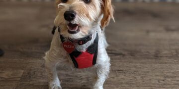 Navigating the World of Clinical Trials: What You Need to Know