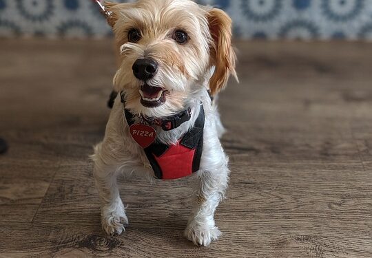 Navigating the World of Clinical Trials: What You Need to Know