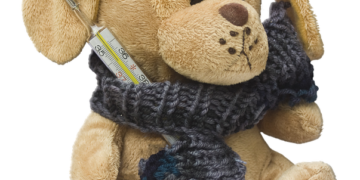 Who’s Missing from Clinical Trials? The Urgent Need for Diversity