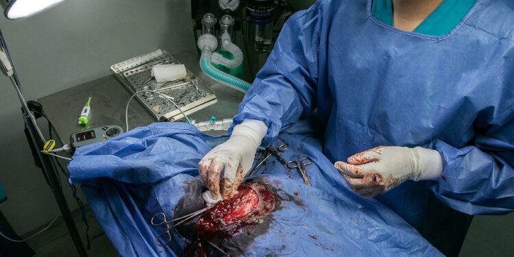 FDA’s Emphasis on Diversity in Clinical Trials Aims to Improve Health Outcomes